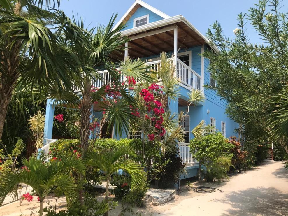 Sandy'S Secret Caye Caulker Dış mekan fotoğraf