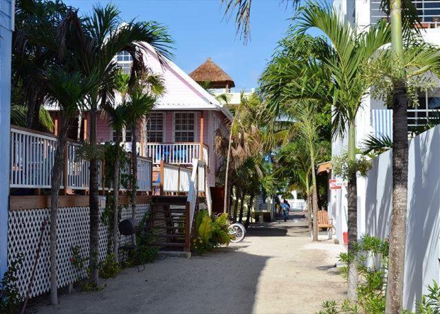 Sandy'S Secret Caye Caulker Dış mekan fotoğraf